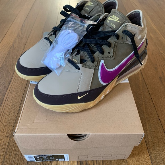Nike LeBron 18 low Atmos Viotech